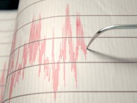 Cutremur în Vrancea. Ce magnitudine a avut
