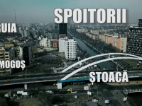 Radiografia grupărilor interlope din București. Cum au făcut miliarde prin şmecherie şi violenţă