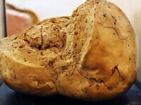 Cea mai veche pâine din lume