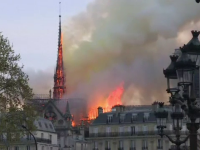 Acoperișul catedralei Notre Dame va fi reconstruit din stejari bătrâni de peste 200 de ani