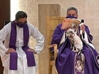 Un preot a ținut Sfânta Liturghie cu un câine în brațe. 