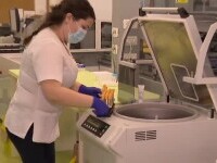 De ce variază atât de mult numărul anticorpilor la COVID, după vaccinare. Experții spun că testele sunt irelevante