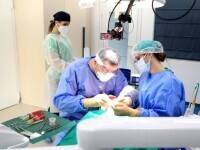 Ce sunt implanturile zigomatice, ultima șansă a pacienților rămași fără dinți