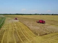 Războiul Rusiei din Ucraina lovește piața mondială a cerealelor. România are suficiente rezerve pentru a face față