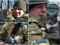 GALERIE FOTO. Pisicile se ”luptă” cu rușii alături de soldații din Ucraina