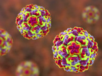 Doctor de bine | Ce sunt rinovirusurile și ce afecțiuni grave provoacă