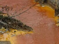 Fenomenul care a colorat în roșu apa râului Săsar din Baia Mare. Inspectorii de mediu monitorizează zona