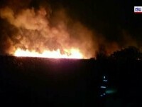 Incendii de vegetație în două localități din Vaslui. Ce au descoperit pompierii la fața locului
