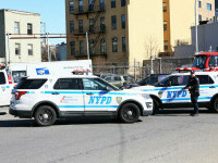 poliția new york