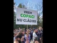 Protest în parcul IOR din București, pentru salvarea copacilor. Analiza legalității retrocedării terenului este pe final