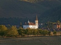 Rășinari