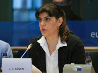 Parchetul European anchetează subvențiile pentru stuful din Deltă. Kovesi: ”Vă pot confirma oficial”