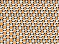 panda trist