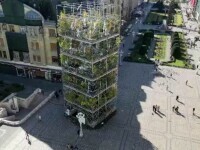 Pepiniera etajată cu peste 1.300 de plante, cu șanse să câștige competiția arhitecturală din Timișoara