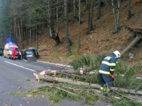 Un copac a căzut peste o mașină în care se aflau cinci copii, în Bistriţa-Năsăud. Unul dintre minori acuză dureri