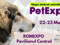 (P) Rasele românești de câini, vedetele PetExpo 2025, la ROMEXPO