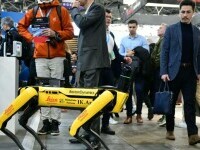 5 echipe de elevi români pleacă la Campionatul Mondial de Robotică FIRST din Houston, SUA!