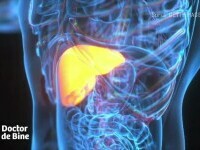 ficat doctor de bine