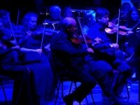 concert