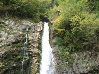 Cascada Urlatoarea