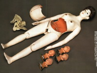 Uite cum invatau niponele sa moseasca in secolul XIX!