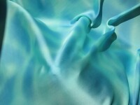 O lume de voal, rupta parca din filmele SF, la New York!