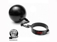 S-a inventat ghiuleaua care-i obliga pe elevi sa stea acasa si sa invete