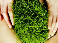 Afla totul despre barbatii erbivori, noul trend venit din Japonia!