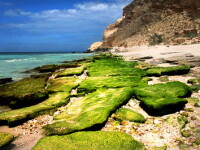 Insula Fericirii - peisaje de pe alta planeta, in Oceanul Indian