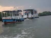 Nunta anului: in hotel plutitor, in Delta