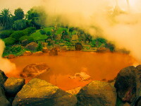 Beppu, Japonia: Paradisul Maimutelor din Iazul Iadului