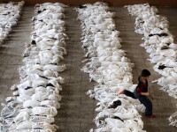 copil alearga peste cadavre, Irak