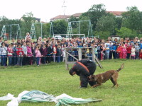 demonstratii politia de frontiera