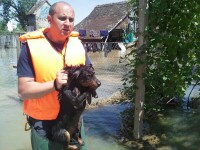 salvare animale, Serbia