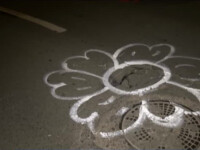floare in jurul gropii din asfalt