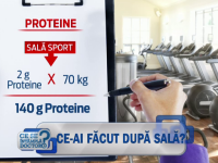 CSID, proteine