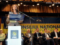 Alina Gorghiu la congresul PNL