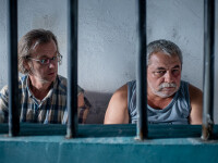 Sase productii in premiera mondiala in Zilele Filmului Romanesc la TIFF