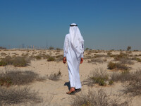 barbat arab - Shutterstock