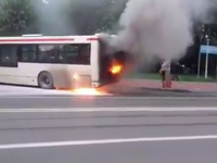 autobuz Iasi