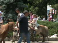 zoo Mures