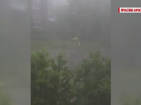 furtuna in Hunedoara