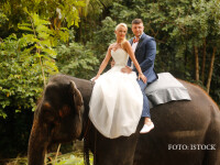 nunta calare pe elefant