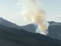 incendiu, brasov, padure,