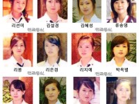 chelnerite nord-coreene disparute
