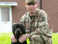 Surpriza uriaşă pe care i-a făcut-o unui militar câinele său. Omul s-a îmbogăţit