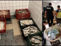 30 de tone de peşte confiscat după sute de percheziții în România și Europa