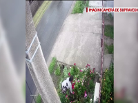 Momentul în care o femeie fură flori dintr-o grădină. Câţi ani riscă să stea după gratii