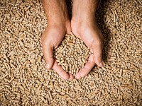 (P) Tot ce trebuie să știi despre peleti și utilizarea acestora