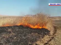 Incendiile de vegetație iau amploare în România. Semnalul de alarmă tras de activiștii de mediu